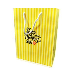 C-27 Custom paper bag