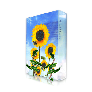 Custom Two-Piece Handmade Box | Premium Rigid Gift Packaging Manufacturer