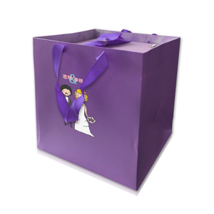 C-20 Custom paper bag