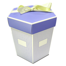 Ribbon Hexagon Boxes